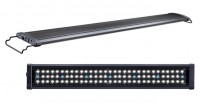 Power LED 600B